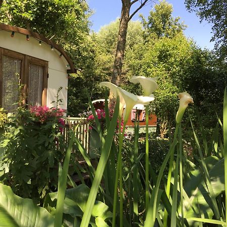 Roulottes Du Rouard Bed and Breakfast Camiers Buitenkant foto