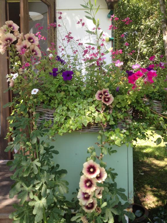 Roulottes Du Rouard Bed and Breakfast Camiers Buitenkant foto