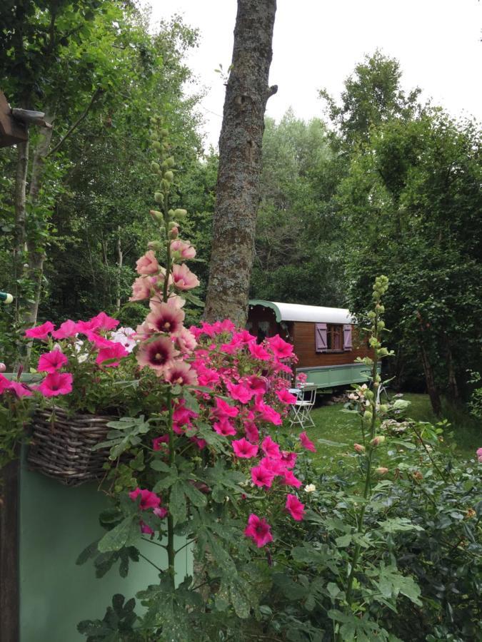 Roulottes Du Rouard Bed and Breakfast Camiers Buitenkant foto