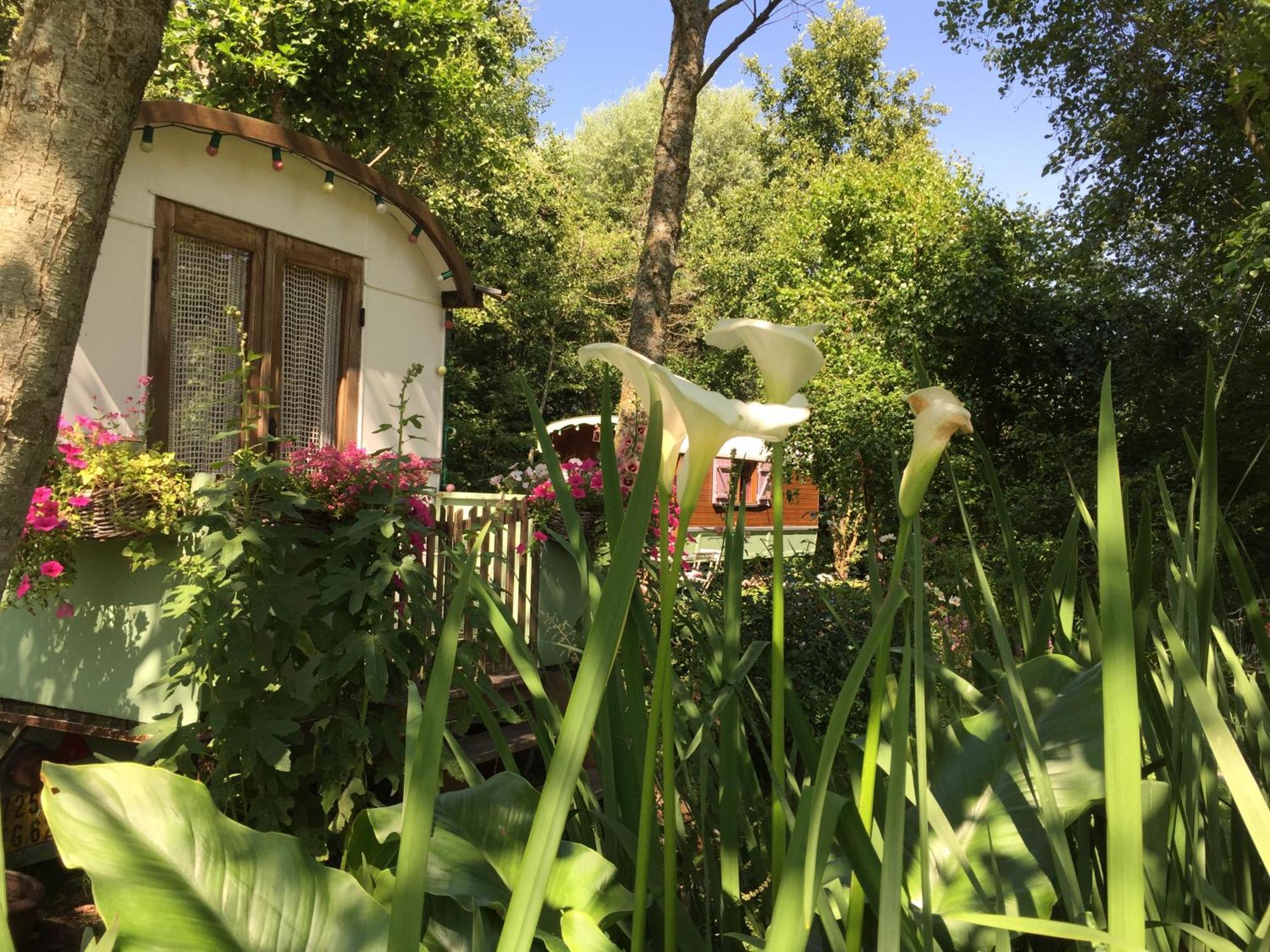 Roulottes Du Rouard Bed and Breakfast Camiers Buitenkant foto