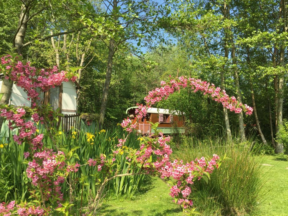 Roulottes Du Rouard Bed and Breakfast Camiers Buitenkant foto