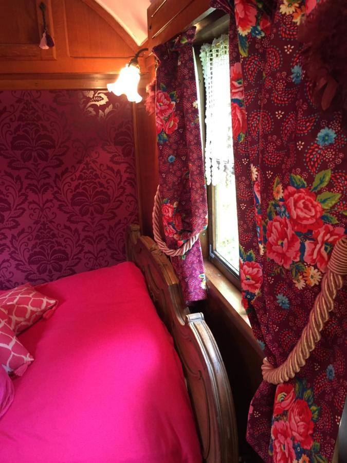 Roulottes Du Rouard Bed and Breakfast Camiers Buitenkant foto